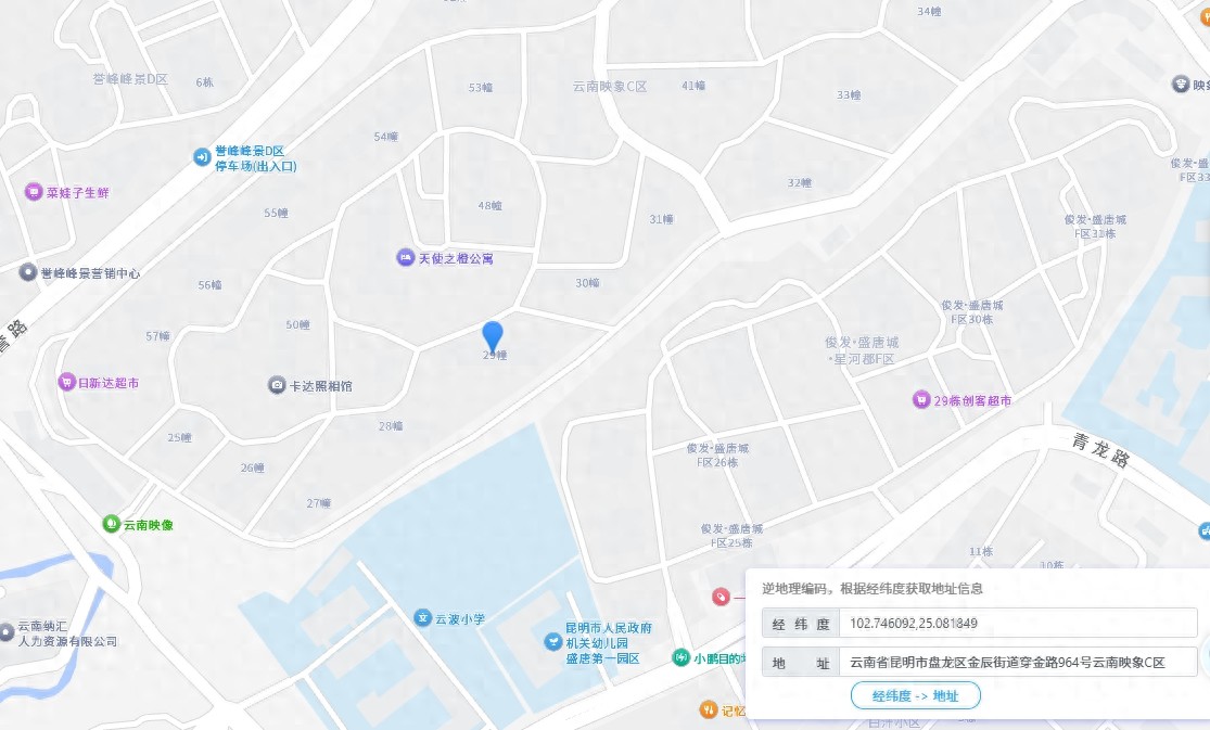 地图厂商1逆地址解析